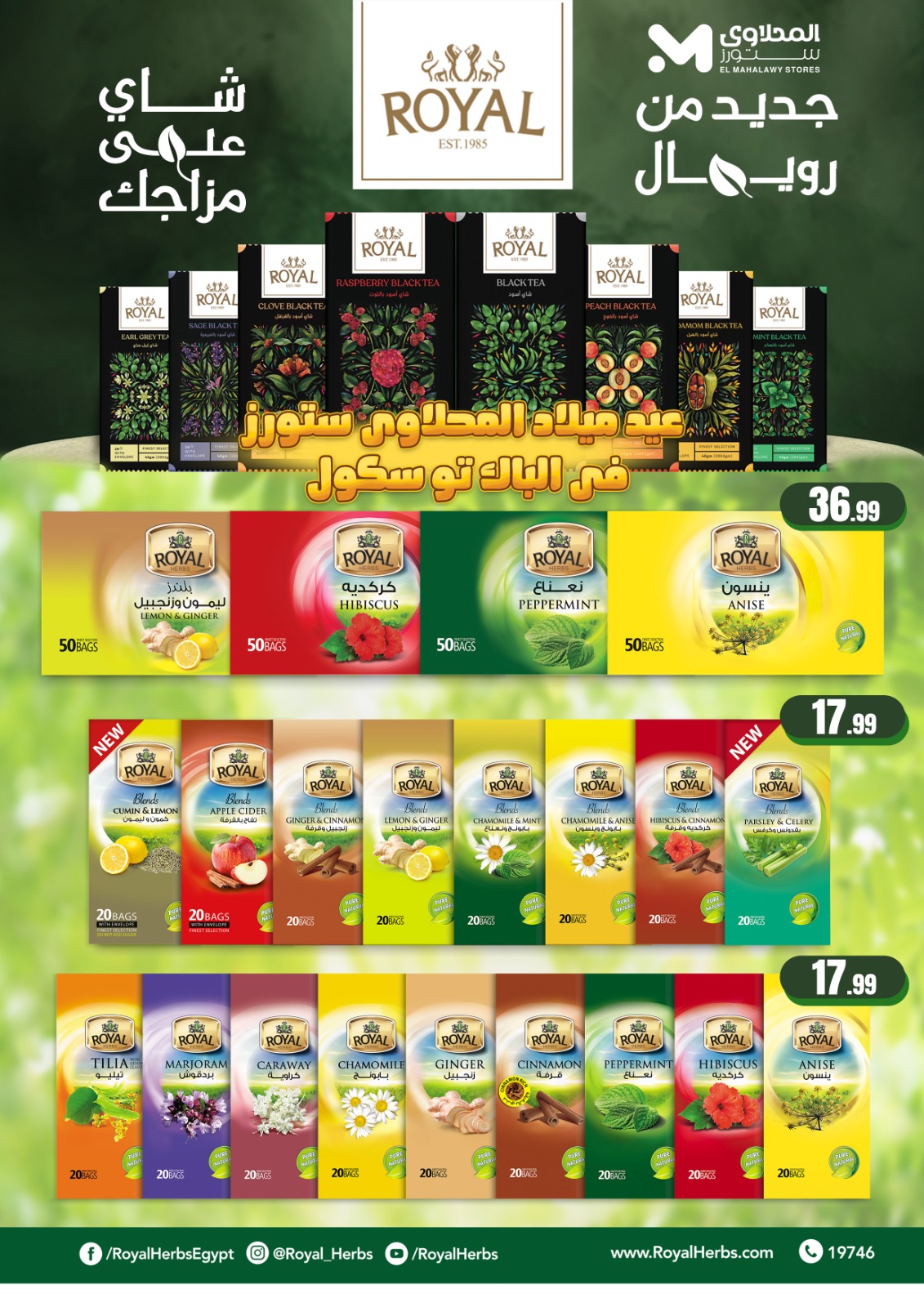 el-mahallawy offers from 4sep to 1sep 2025 عروض المحلاوي من 4 سبتمبر حتى 1 سبتمبر 2025 صفحة رقم 28